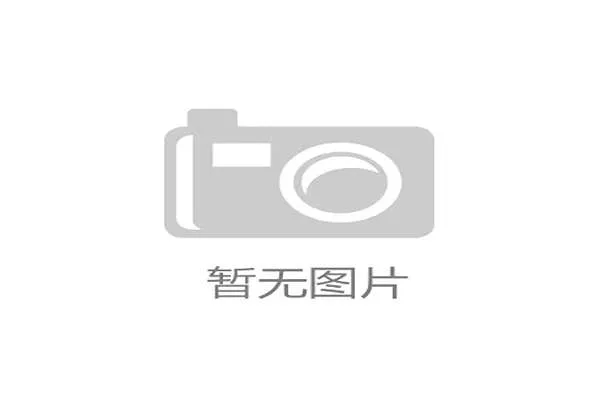 红魔双星:压力淬炼下的成长之路